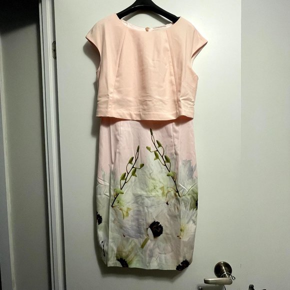 NEW Ted Baker Floral Dress Blush Pink Size 1 - Picture 2 of 7
